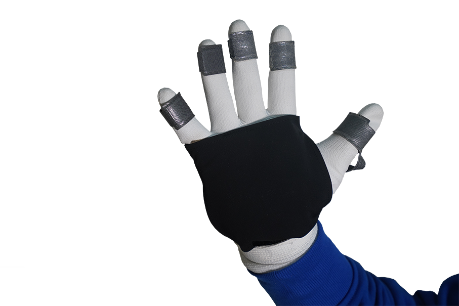 glove with palm and finger sensors